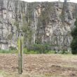 Camino al Valle - Del otro lado de los farallones y del r�o, el camino que conduce al Valle de los Halcones ofrece este hermoso paisaje.