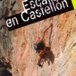 Escalada en Castellón - Escuelas de escalada: Jérica, Peñas Aragonesas, Tales, Fuentes de Ayodar, Llavalasar, Vallat, El Castellet, La Cantera, Borriol, Orpesa, La Rambla, Atzeneta del Maestrat, Penyagolosa, Barranc de la Guitarra, Sarratella, Culla, Torreblanca, Murs, Torre Badun, Penyíscola, La Pedrera, Morral de l’Angel, Xert, Rosell, Morella-Forcall, La Gotera.
IDIOMA: Castellano.