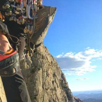 A penas sobresalen del pie de gato